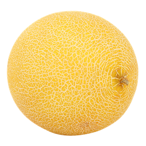 Melon PNG-14372